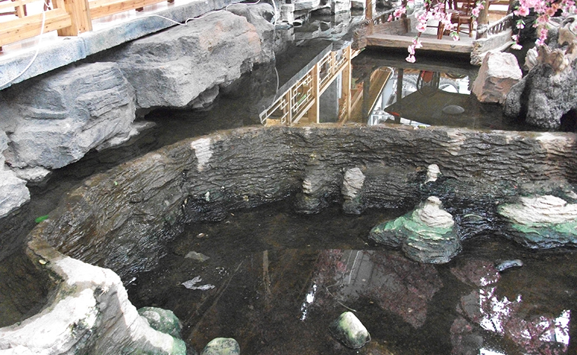 DSCF0925.JPG